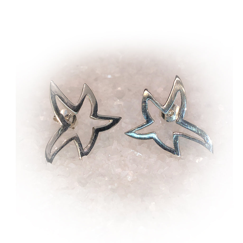 Pendientes SUPER STAR-Plata