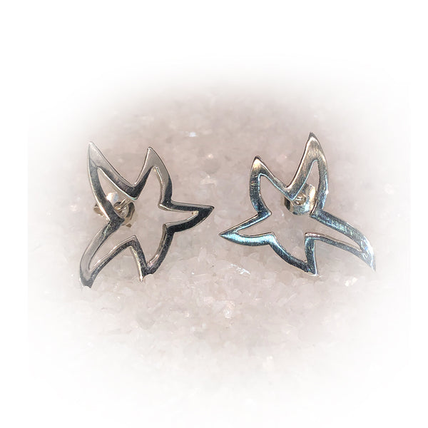 Pendientes SUPER STAR-Plata