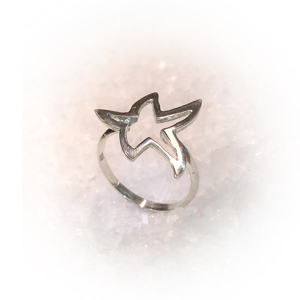 Anillo SUPER STAR-Plata