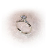 Anillo ELEGANT-Plata